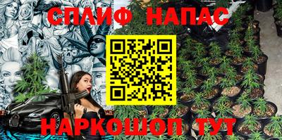 гашик Тула
