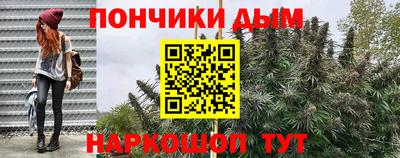 гашик Тула